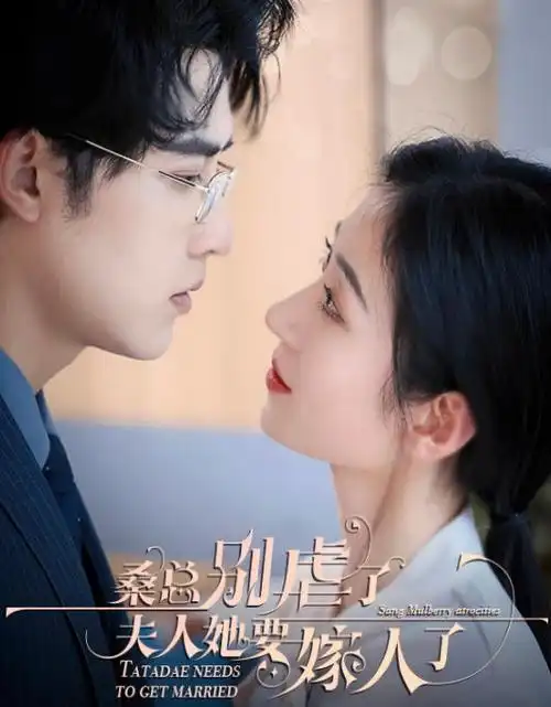 万家灯火时现实群像剧全集免费观看